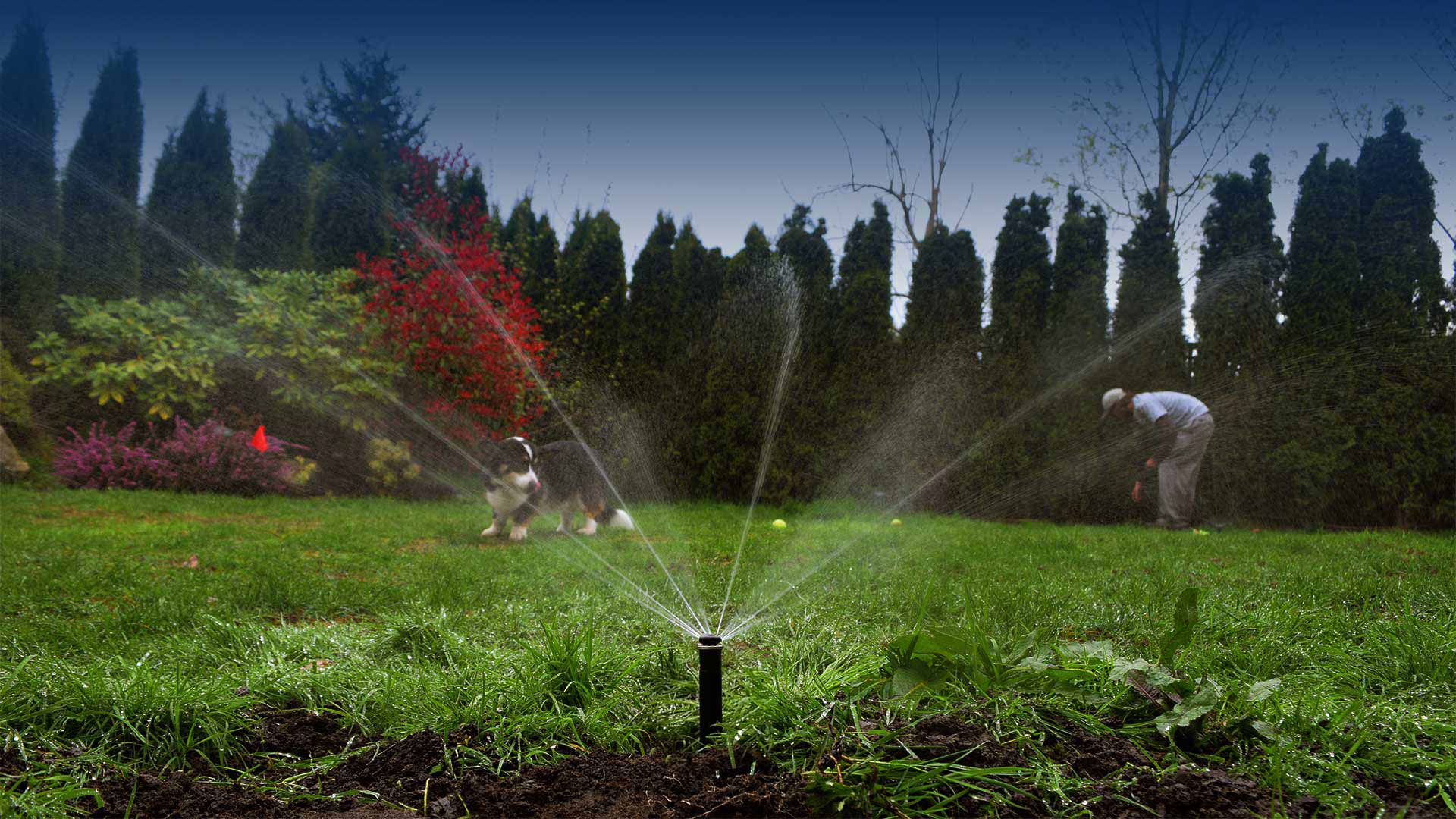 Installation of Sprinklers in Newton